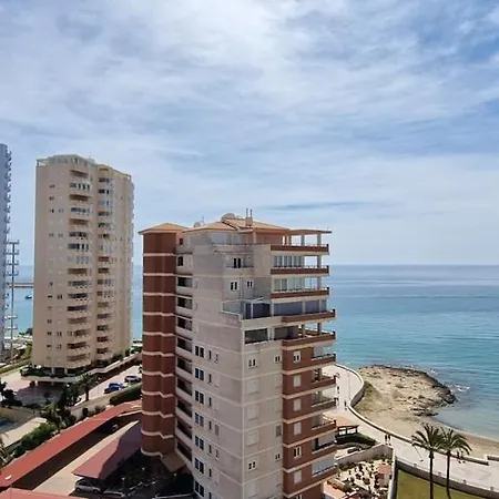 Atlantico Flamingo