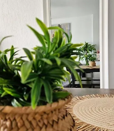 Atlantico Flamingo Apartment *