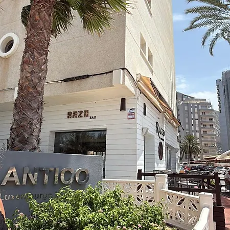 Atlantico Flamingo كاليبي
